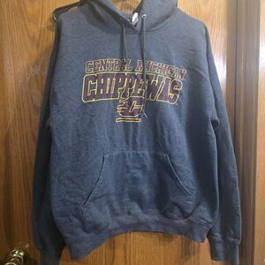 Central Michigan Chippewas Gray Hoodie